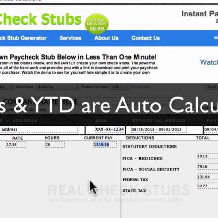 Real unedited Paystubs