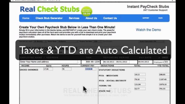 Real unedited Paystubs